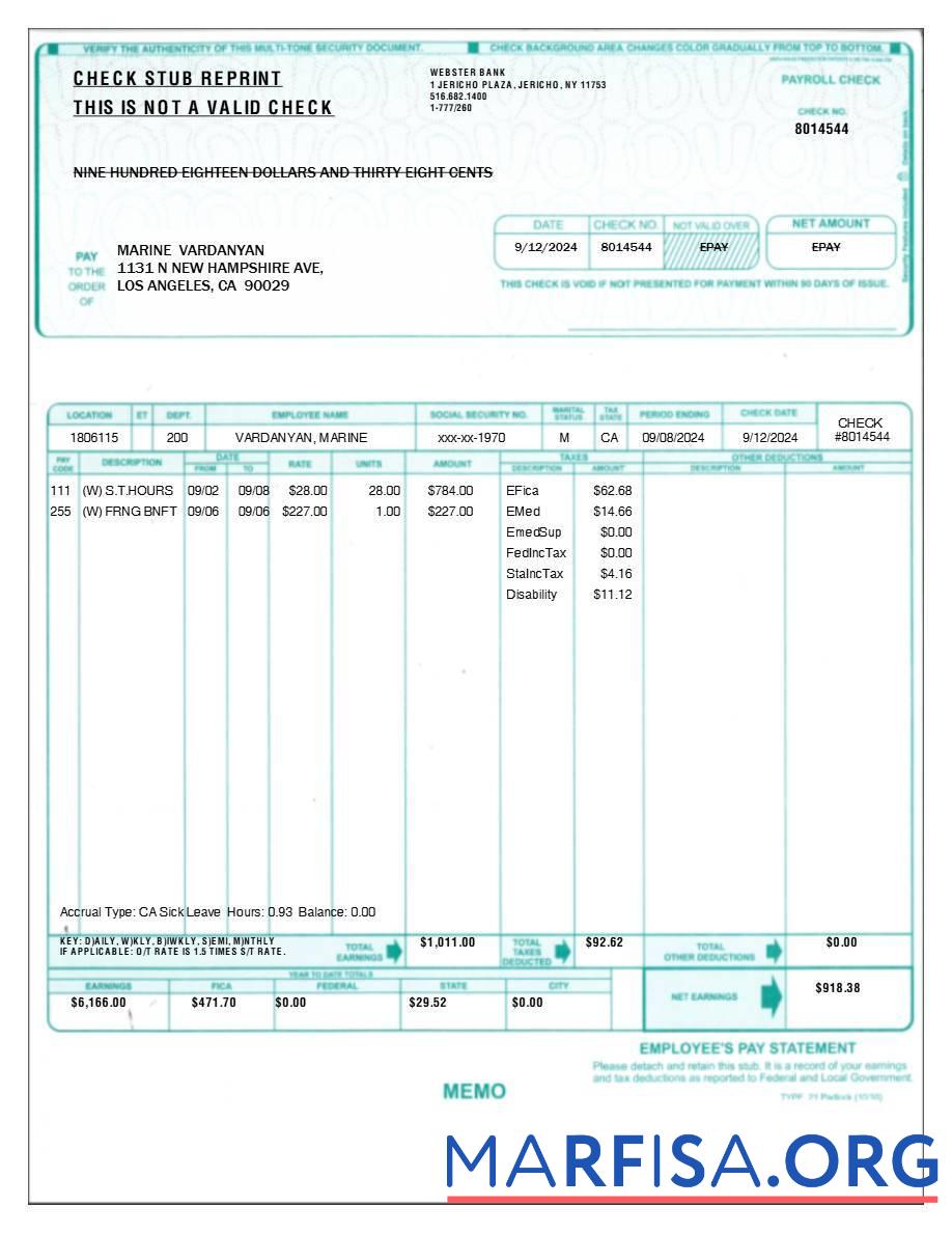 Blank Employee's pay statement real example